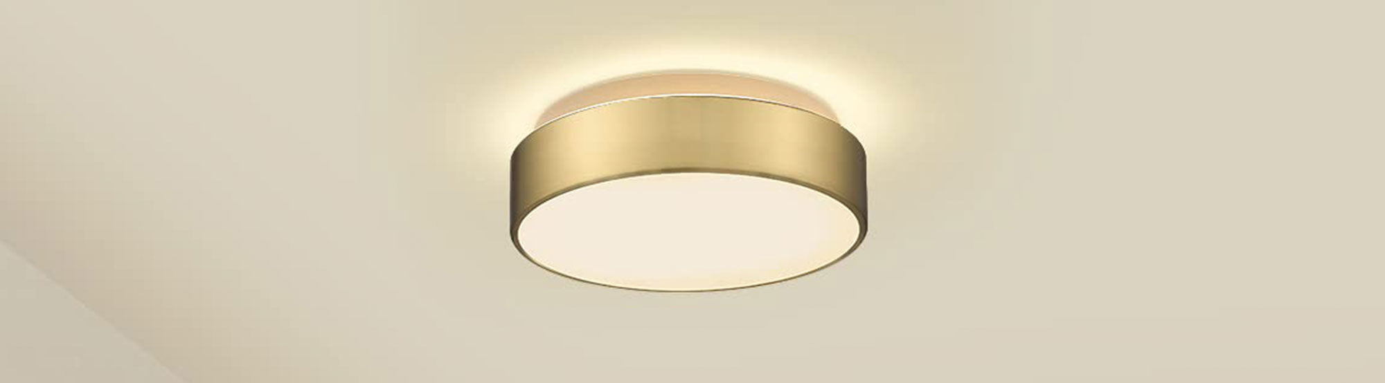 Interior Ceiling Lights / Flush Mount