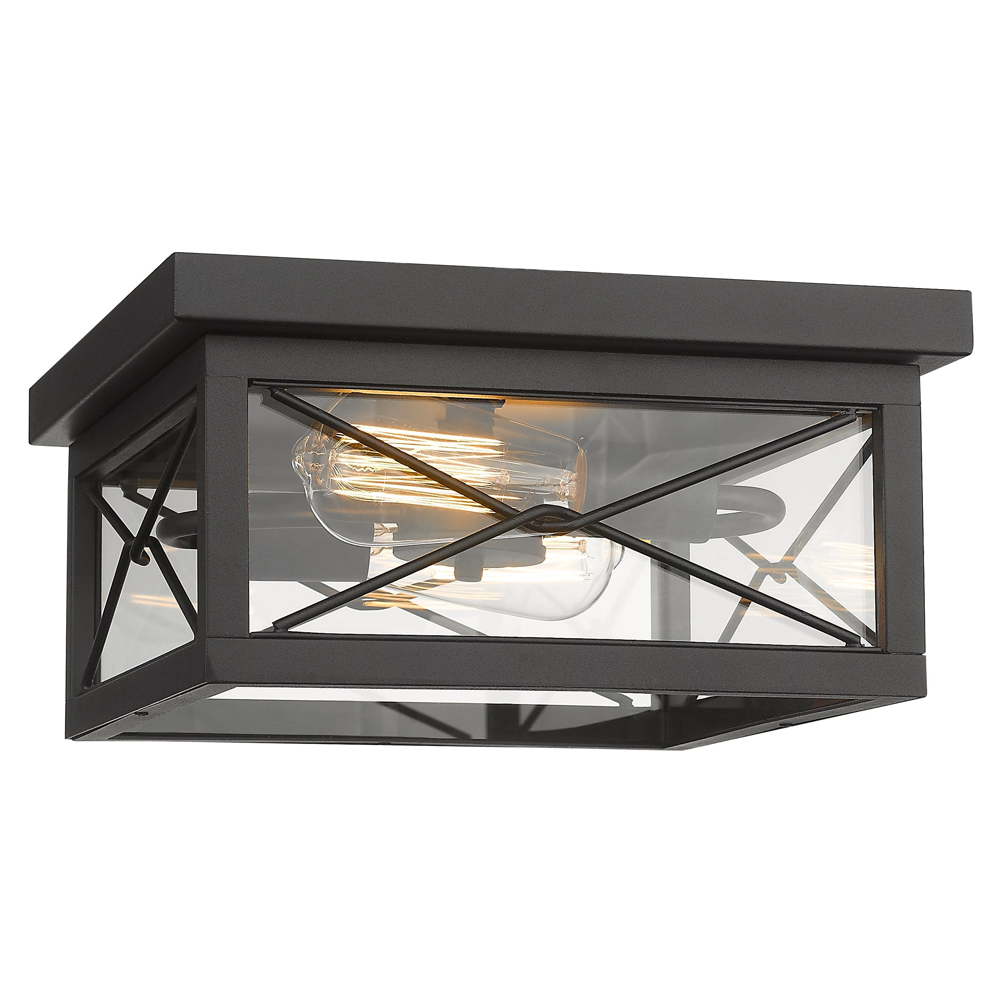 Matte Black Glass & Metal- 12 Inch Ceiling Light 2-Light Flush Mount Ceiling Light Fixture in Black Finish - USAG00049