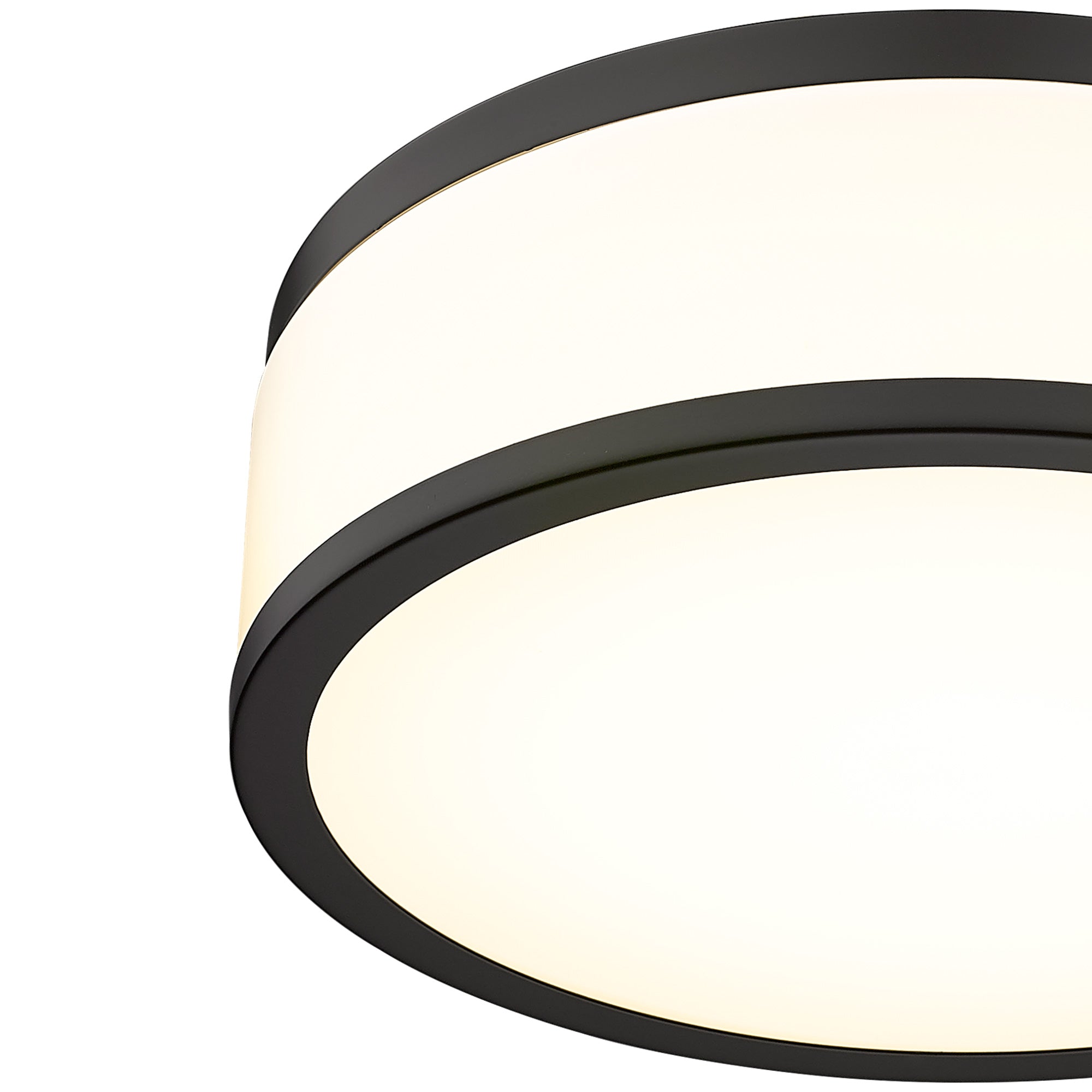 Matte Black Acrylic & Metal - LED Flush Mount Ceiling Light 15 inch, 25W Dimmable 3000K 4000K 5000K Matte Black Modern Round Ceiling Light Fixture