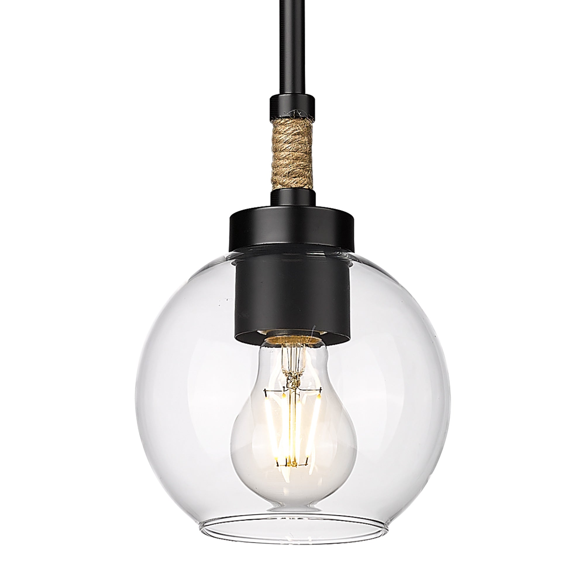 Matte Black Glass & Metal 1-Light Black Hanging Light With Clear Glass Shade- USAG00287