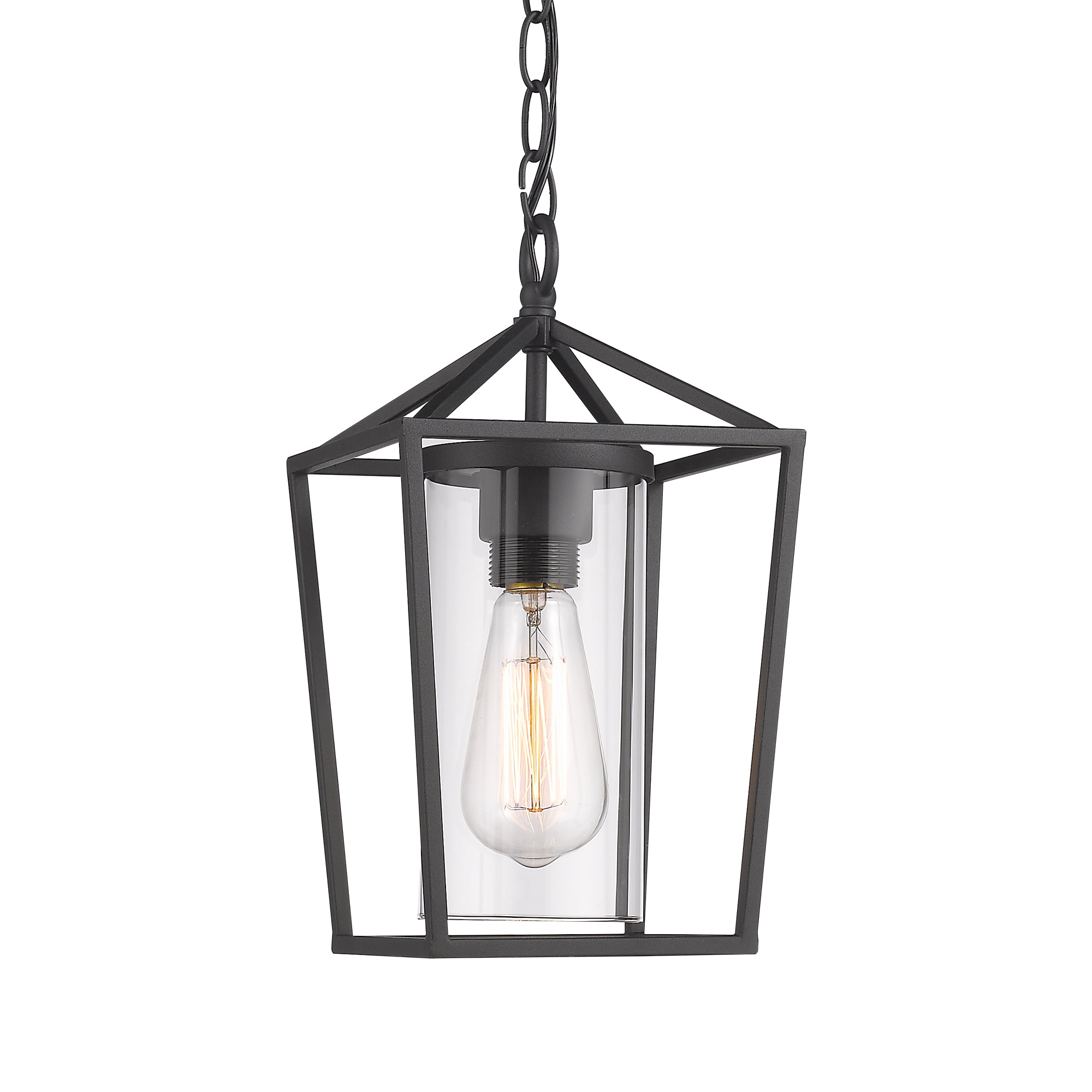 Matte Black Glass & Metal - 54 Inch 1-Light Outdoor Hanging Lantern Light in Balck Finish with Clear Glass - USAG00305