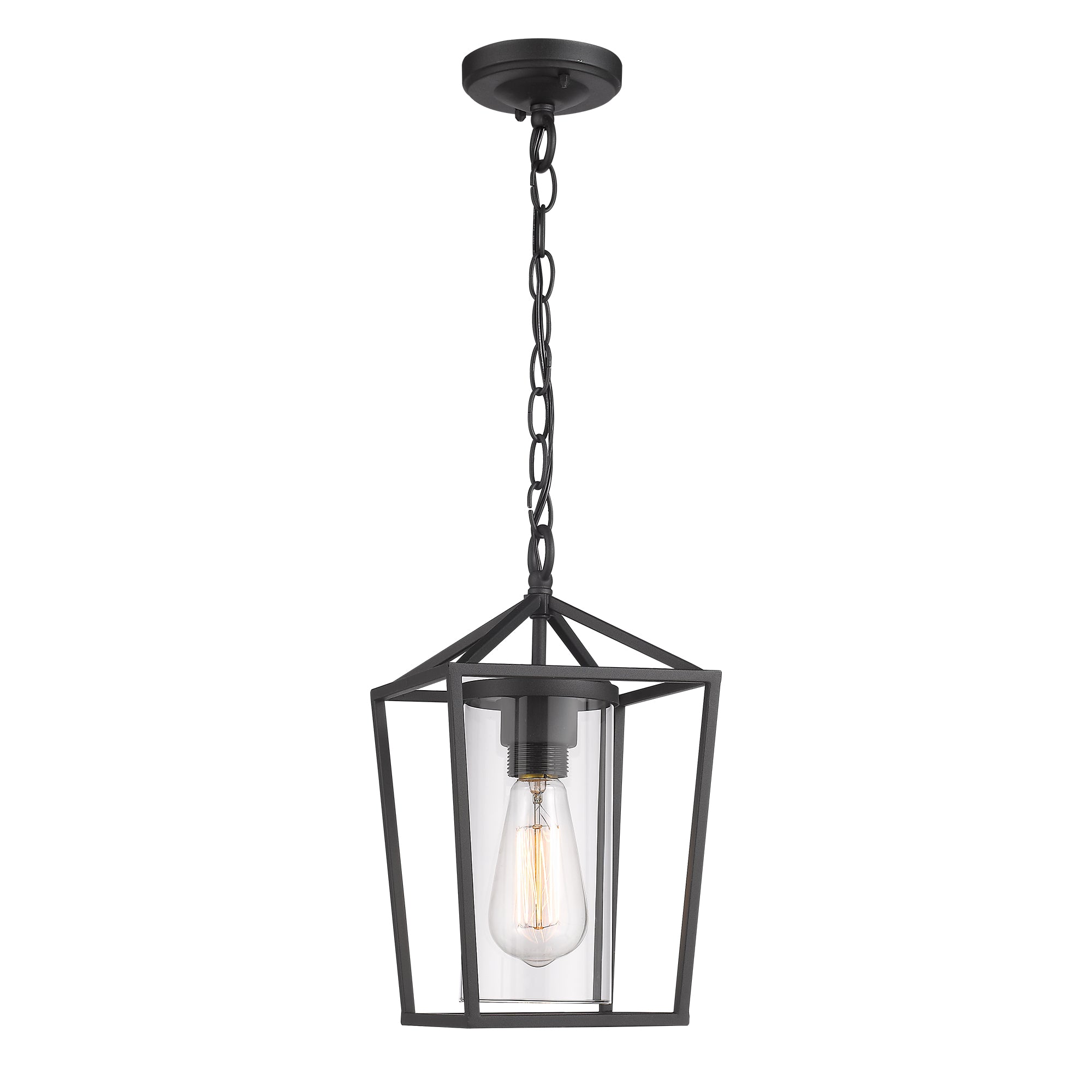 Matte Black Glass & Metal - 54 Inch 1-Light Outdoor Hanging Lantern Light in Balck Finish with Clear Glass - USAG00305