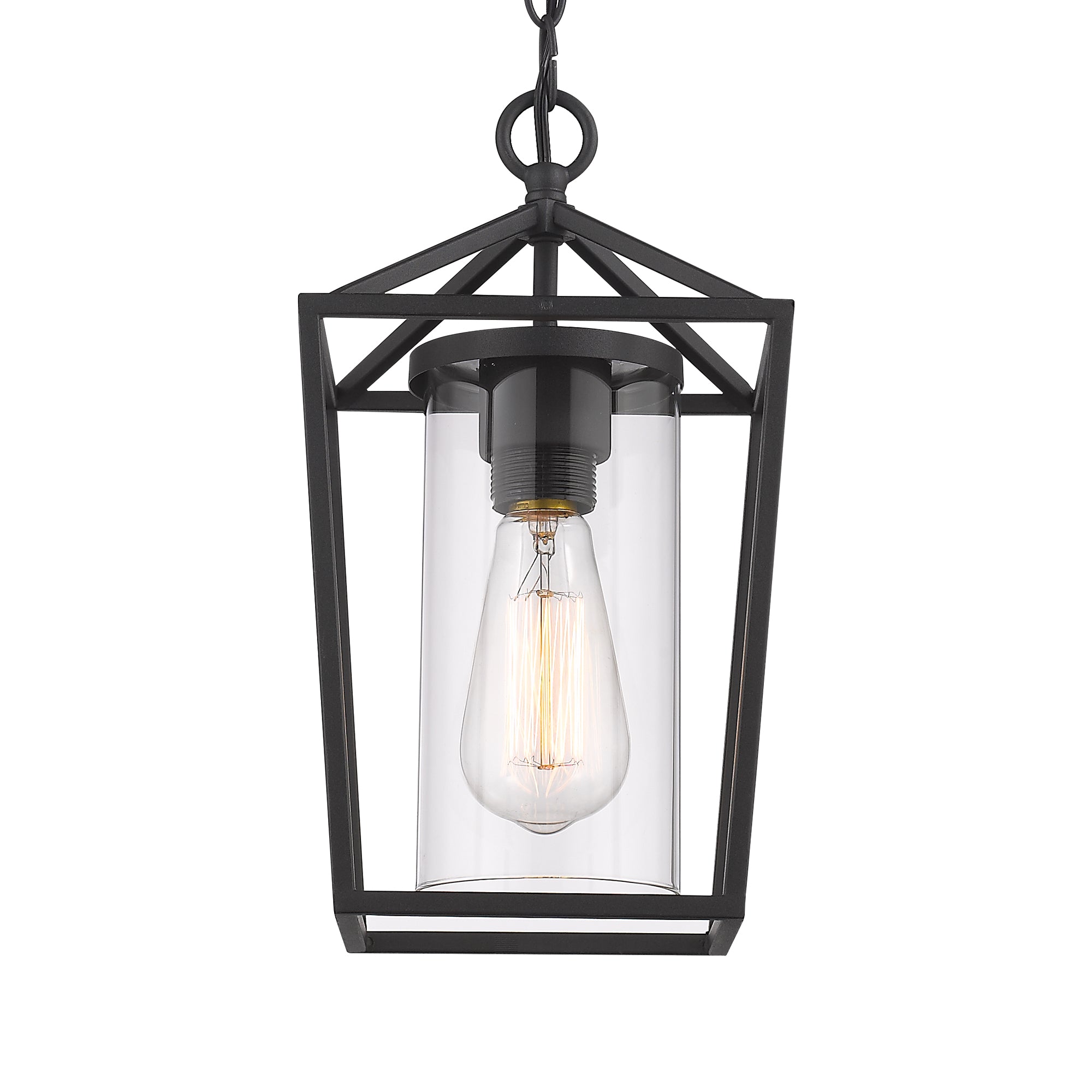 Matte Black Glass & Metal - 54 Inch 1-Light Outdoor Hanging Lantern Light in Balck Finish with Clear Glass - USAG00305